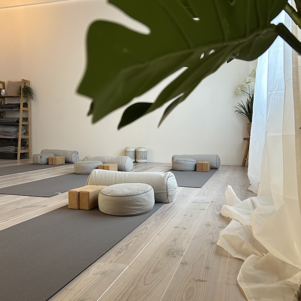 Hestel yoga rustige ruimte met plant